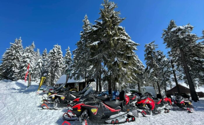Hószán túra a Madarasi Hargitán